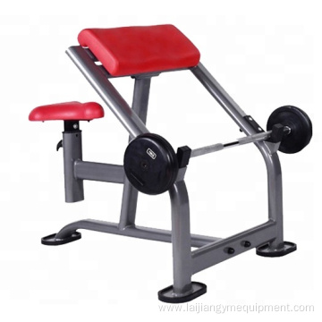 Seated Bicep Tricep Curl Fitness Arm Preacher Bench